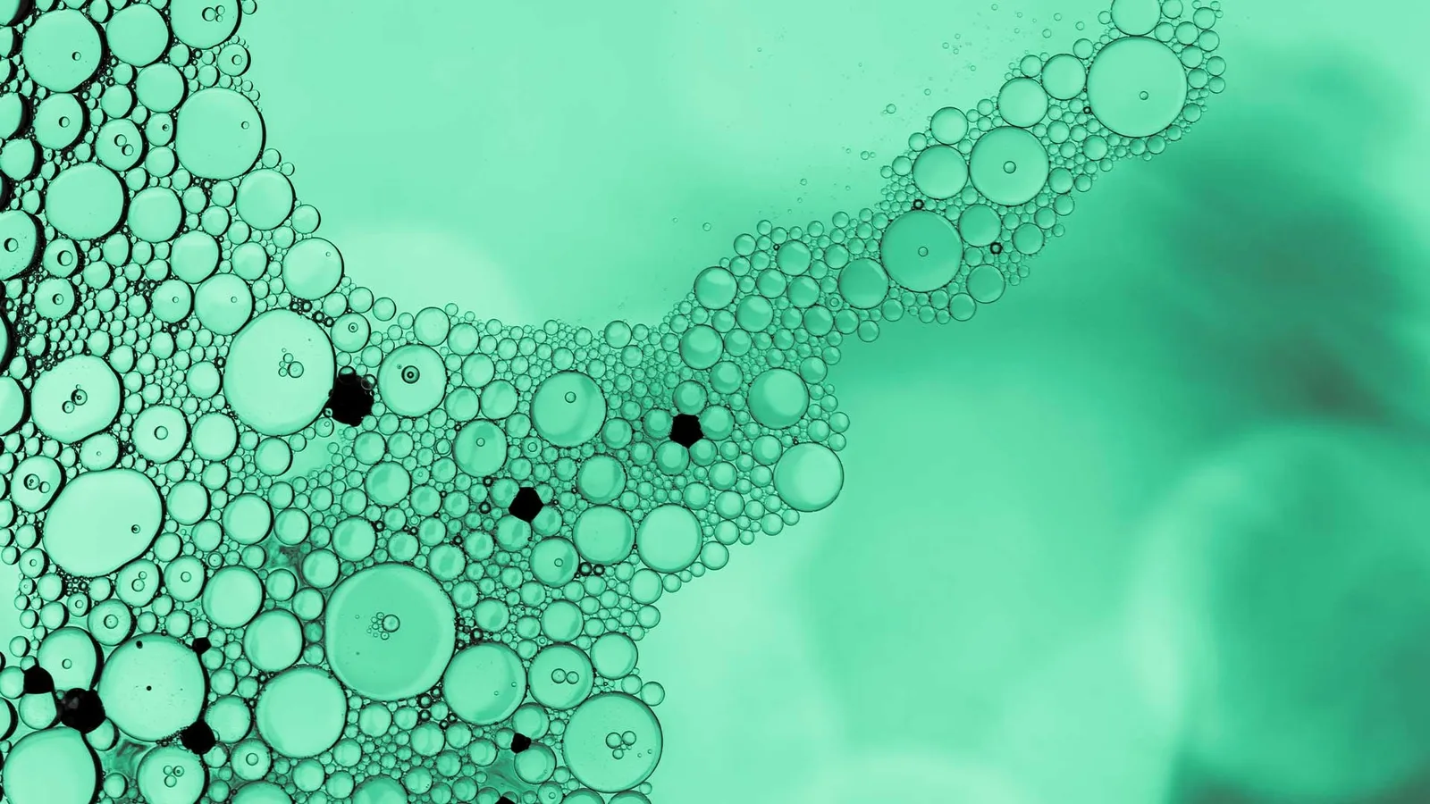 header background