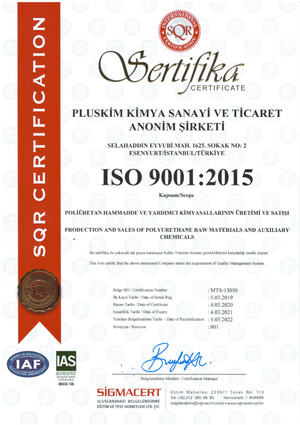 Pluskim-ISO 9011 2015